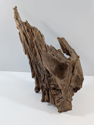 Mangrovenwurzeln 40 - 80cm