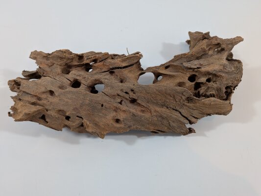 Mangrovenwurzeln 20 - 40cm