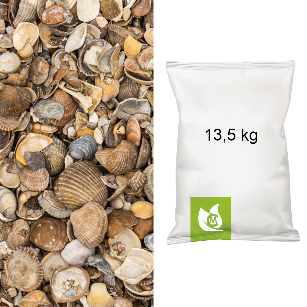 Muscheln Zierkies | CM-Gartendesign, 20,00