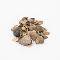 Muscheln Zierkies 3/20mm 13,5 L Paket