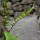 Basalt Splitt, 2/5mm, 20kg Paket