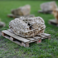 Muschelkalk Felsen #6