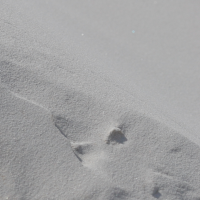 Quarzsand als Beachsand 0,1/0,5 mm 1000 kg BigBag