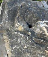 Kalk Quarzit Felsen #68