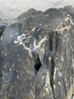 Kalk Quarzit Felsen #68