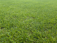 Gartenkalk Nordweisperle, 10 kg