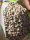 Gartenkalk Nordweisperle, 10 kg