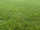 Gartenkalk Nordweisperle, 10 kg