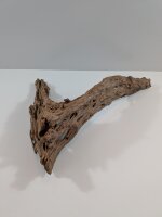 Mangrovenwurzel #02
