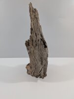 Mangrovenwurzel #03