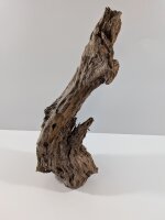 Mangrovenwurzel #03