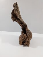 Mangrovenwurzel #03