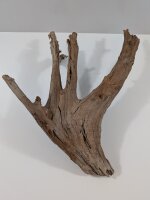Mangrovenwurzel #05
