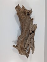 Mangrovenwurzel #08
