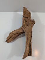 Mangrovenwurzel #24