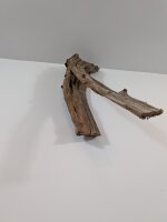 Mangrovenwurzel #32