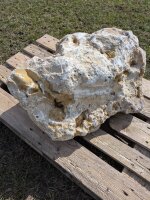 Jurakalk Felsen #72