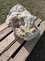 Jurakalk Felsen #72