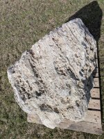 Muschelkalk Felsen #23