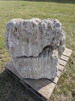 Muschelkalk Felsen #23