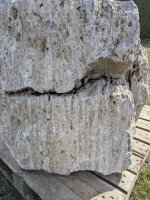 Muschelkalk Felsen #23