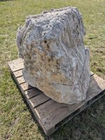 Muschelkalk Felsen #23