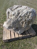 Muschelkalk Felsen #23