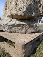 Muschelkalk Felsen #23