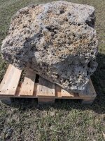 Muschelkalk Felsen #83