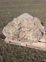 Muschelkalk Felsen #83