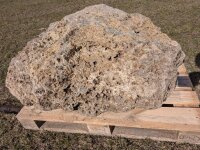 Muschelkalk Felsen #83