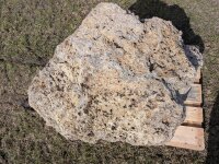 Muschelkalk Felsen #83