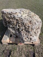 Muschelkalk Felsen #83