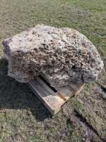 Muschelkalk Felsen #83