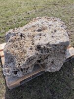 Muschelkalk Felsen #83