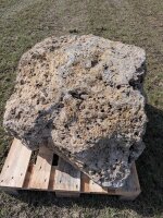 Muschelkalk Felsen #83