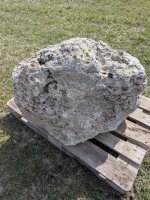 Muschelkalk Felsen #82