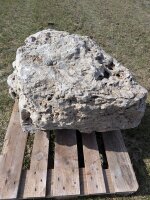 Muschelkalk Felsen #82