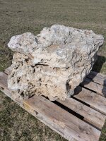 Muschelkalk Felsen #82