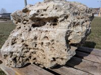 Muschelkalk Felsen #82