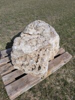 Muschelkalk Felsen #82