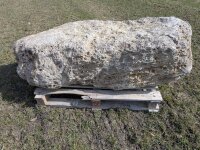 Muschelkalk Felsen #81