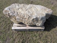 Muschelkalk Felsen #81