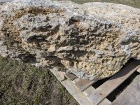 Muschelkalk Felsen #81