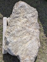 Muschelkalk Felsen #81
