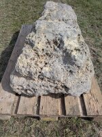 Muschelkalk Felsen #73