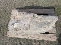 Muschelkalk Felsen #73