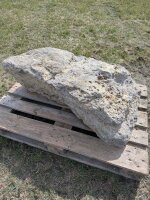 Muschelkalk Felsen #73