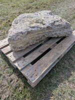 Muschelkalk Felsen #73