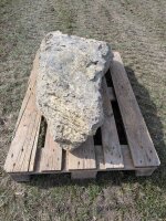 Muschelkalk Felsen #73